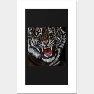 Tiger Posters and Art